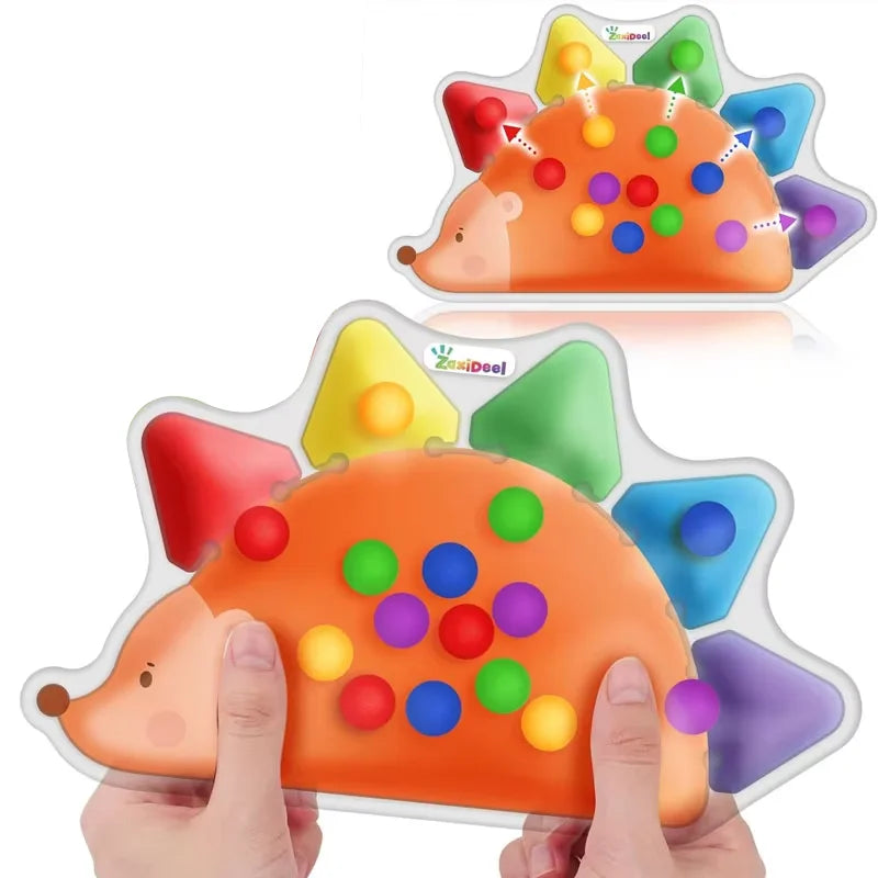 Montessori 5-Color Sorting Sensory Toy for Kids Educational Learning Game with Colorful Balls for Fine Motor Skills Development