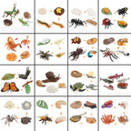 Animal Life Cycle Board Children Toys Montessori Teaching Aids Plant Animal Growth Cycle Model Set preschool cognitive Toys