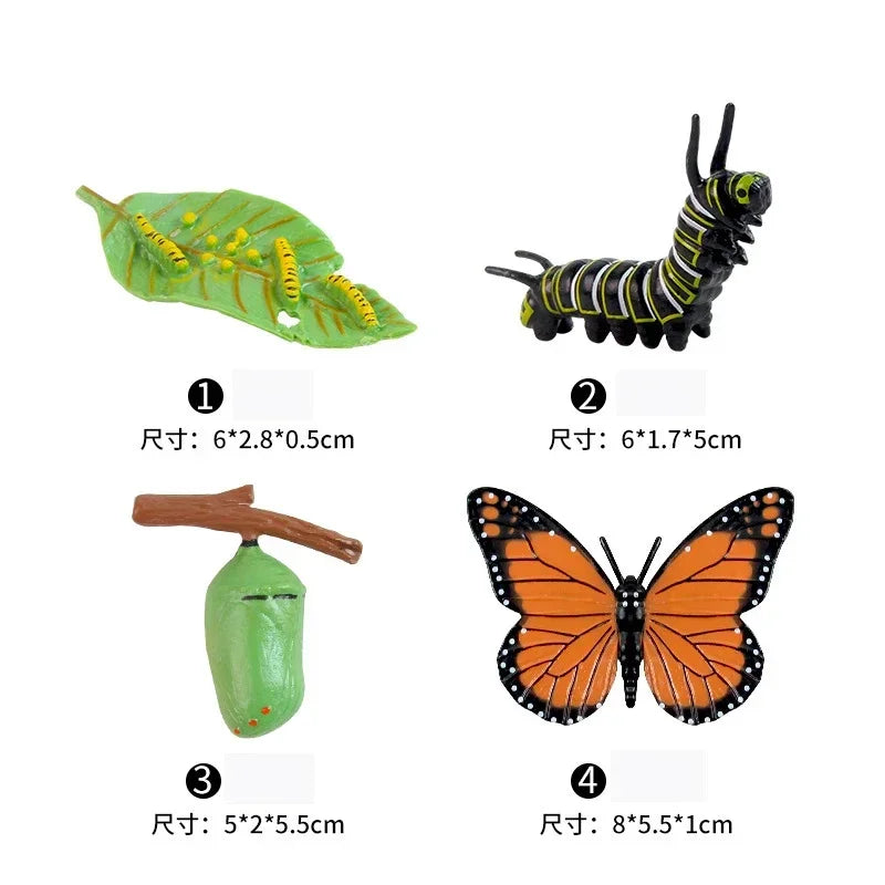 Animal Life Cycle Board Children Toys Montessori Teaching Aids Plant Animal Growth Cycle Model Set preschool cognitive Toys