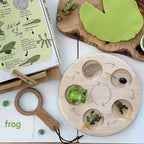 Animal Life Cycle Board Children Toys Montessori Teaching Aids Plant Animal Growth Cycle Model Set preschool cognitive Toys